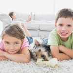 kids and dog dry residential carpet and rug cleaning service Sydney from Carpet Cleaning Authority