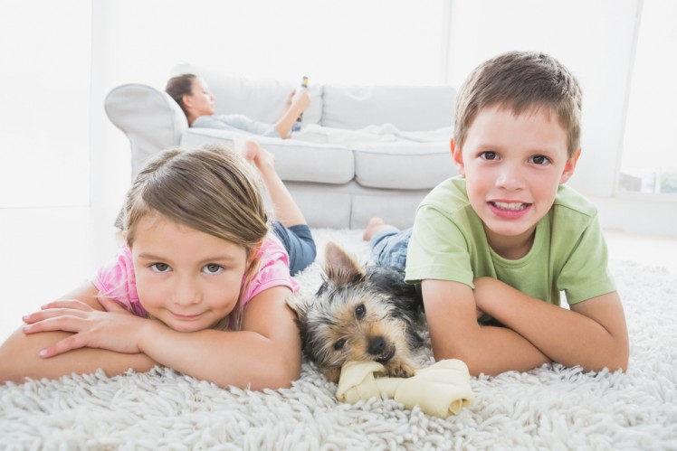 kids and dog dry residential carpet and rug cleaning service Sydney from Carpet Cleaning Authority