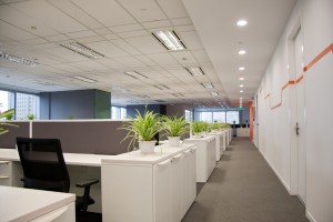 image of office for commercial carpet cleaning from Carpet Cleaning Authority